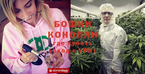 PSILOCYBIN Белоозёрский