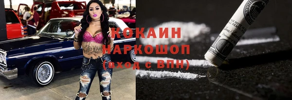 гидра Белокуриха
