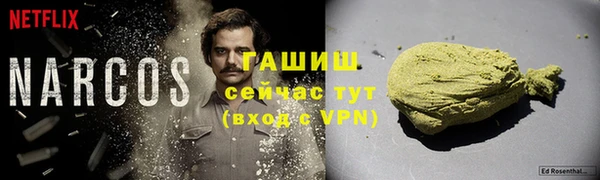 гидра Белокуриха