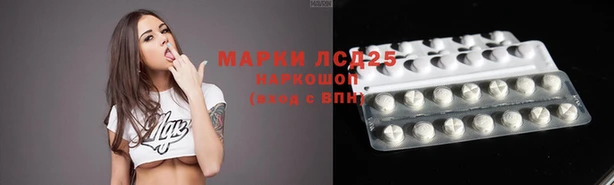 МДПВ Богородицк
