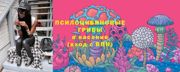 гидра Белокуриха