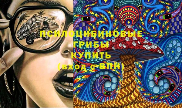 PSILOCYBIN Белоозёрский