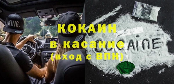 гидра Белокуриха
