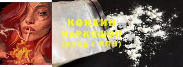 гидра Белокуриха